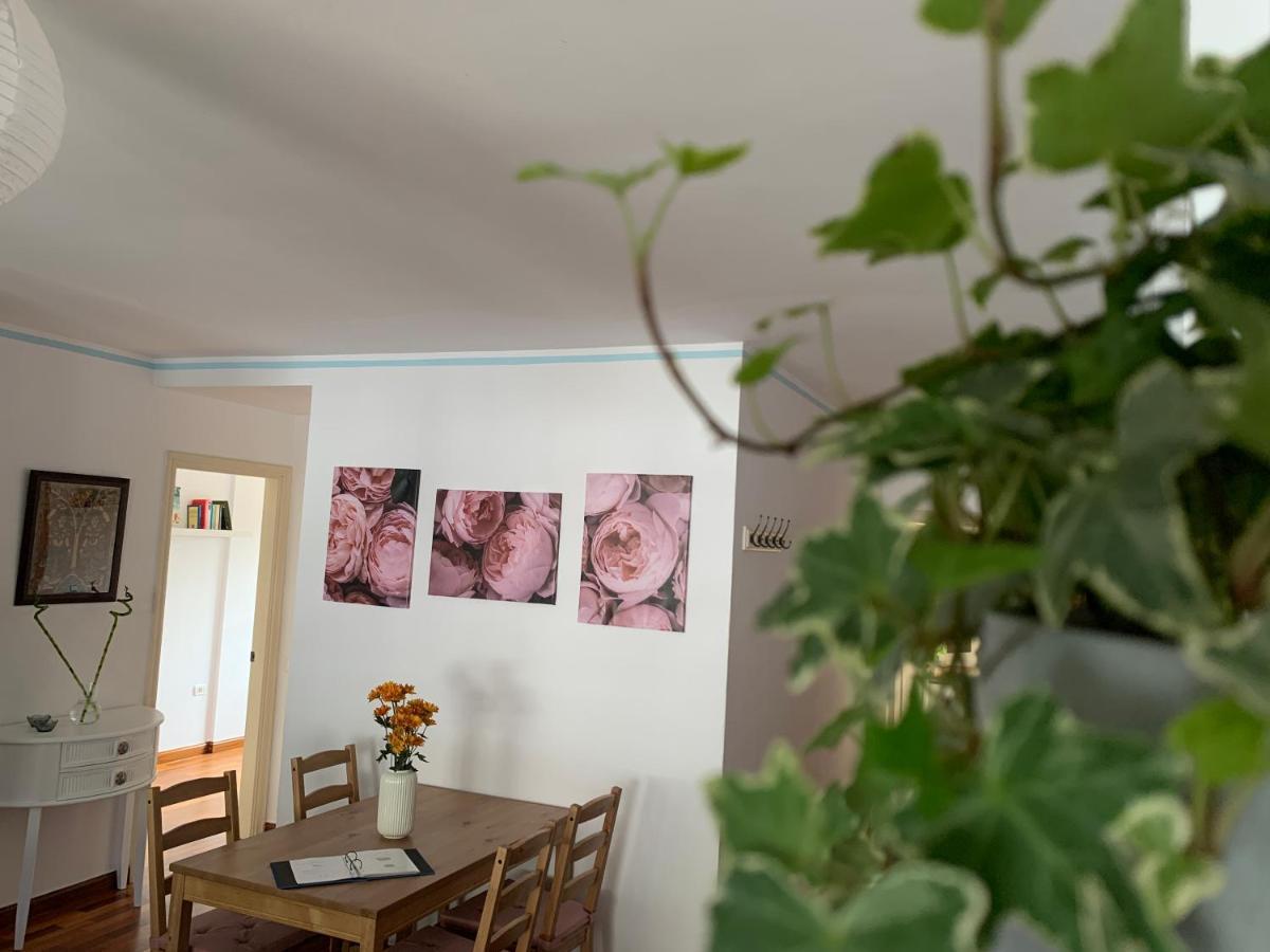 La Casita De Mi Alma - Das Haus Meiner Seele Tegueste 외부 사진